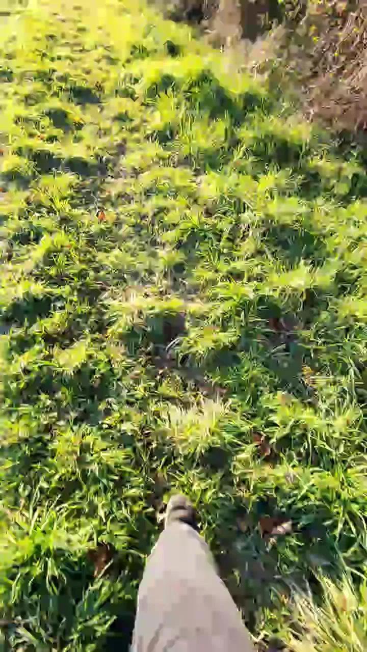 Cam4 Legtiste is Freechat Legtiste — #exterieur #cum #masturbation #pee #threesome