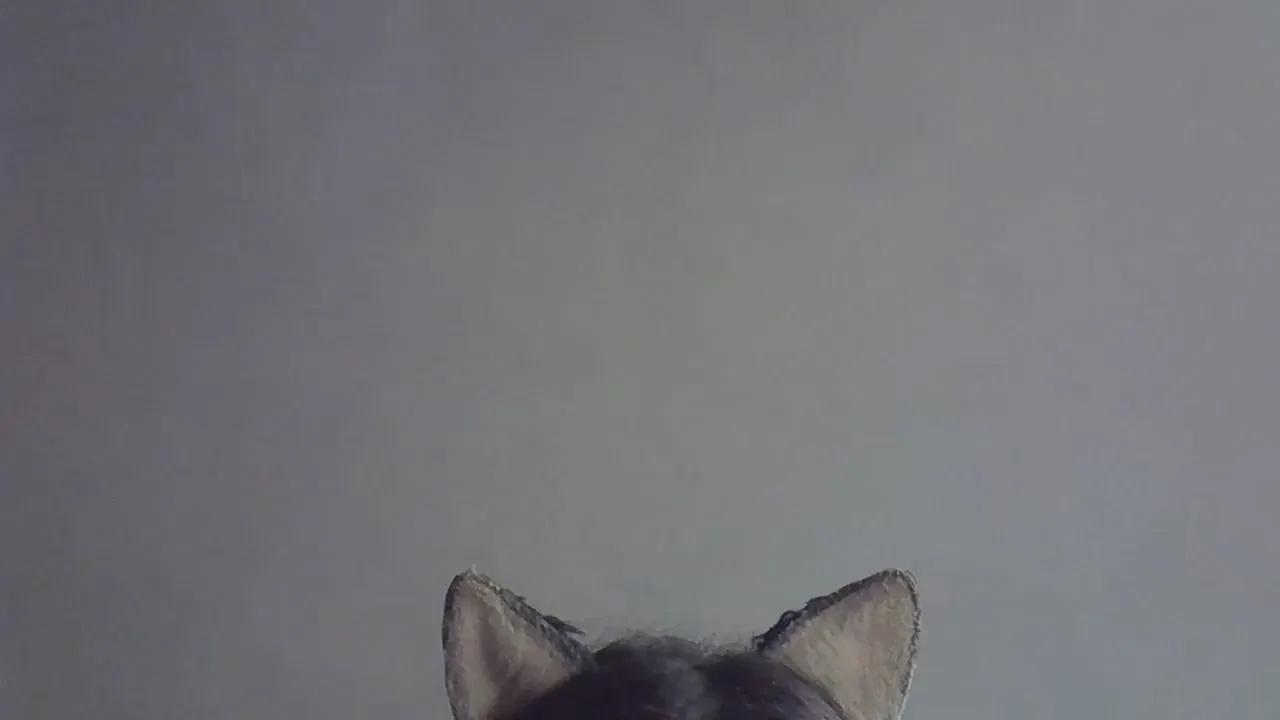 SkinnyKittenCam —  #femdom #armpits #schoolgirl #milk #masturbation #taboo #striptease