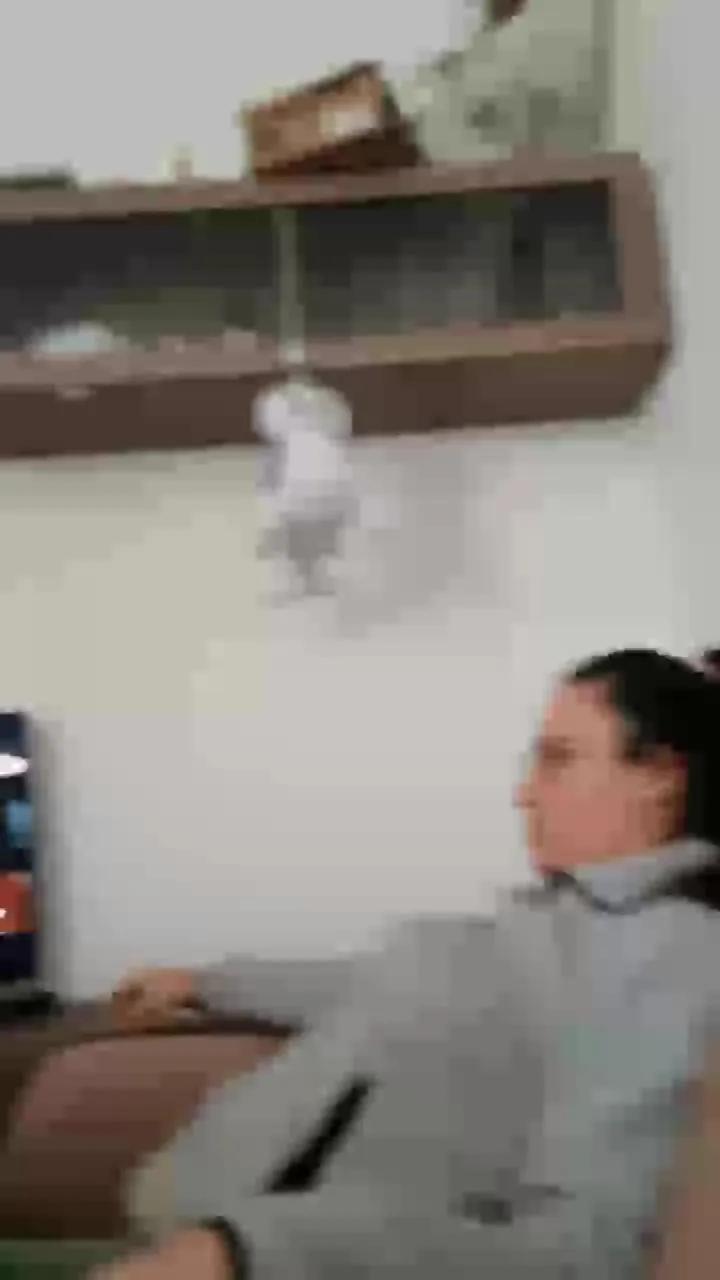 Tumorvosa — Freechat on Cam4