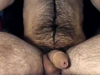 lapijarg — Toy [100 tokens remaining]