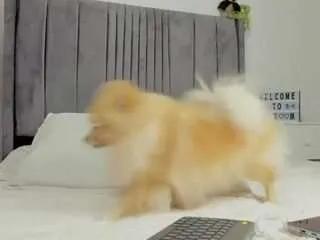 laurelmillstone — Cum show Goal make me explode rigth here, dripping and moaning just for you... Push me to the edge, and ill cum hard on cam [1110 tokens remaining]