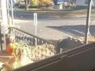 shortcock197391 — Risky stroking