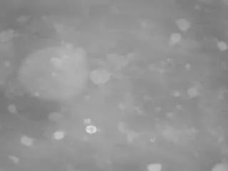 voyeurcam-casa-salsa-pool-1 — voyeurcam-casa-salsa-l-1 Public Chat Channel