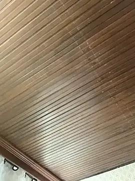 Jasmin_Pink — control of the exuberant for 5 minutes