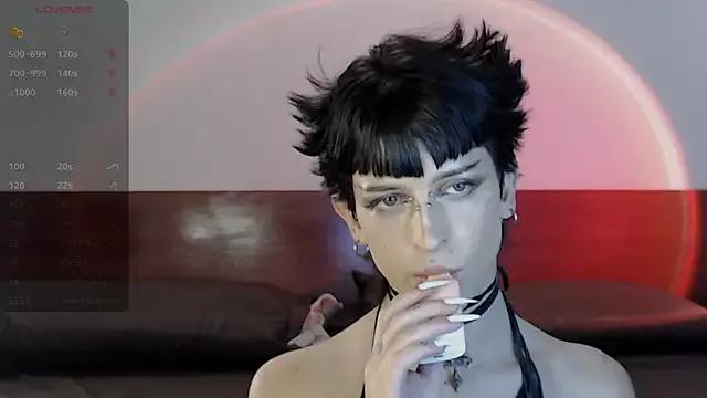 succubot on StripChat 