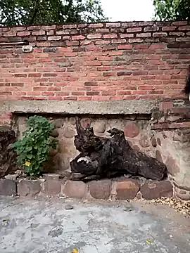 StripChat sweet_outdoor_charm is Freechat sweet_outdoor_charm — Show my buttocks and oil them up