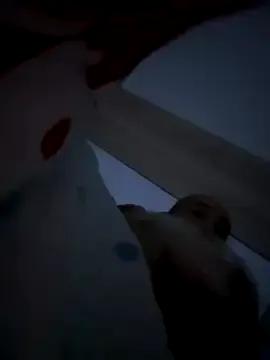 VyC7564 — Leck ihr den Arsch und steck ihr zwei Fi